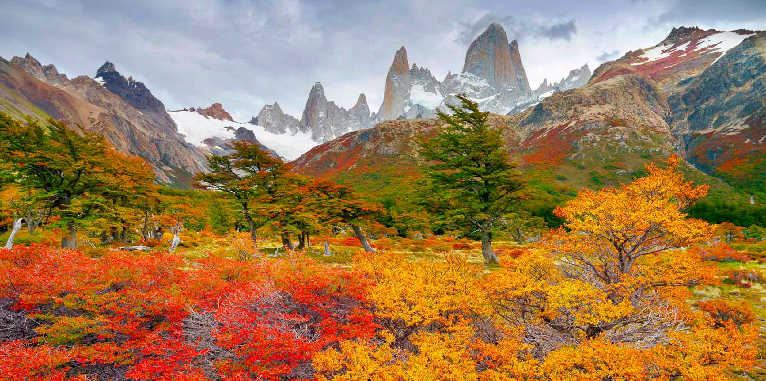 Autumn Splendour, Patagonia