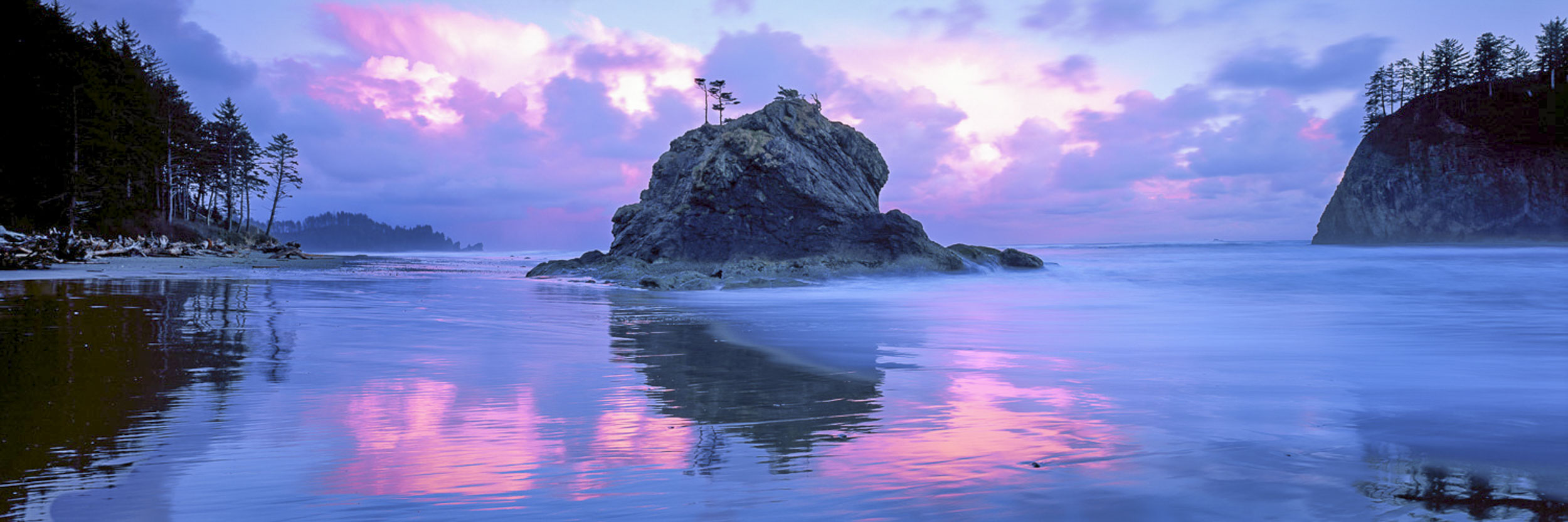 Faithful Warrior, Washington