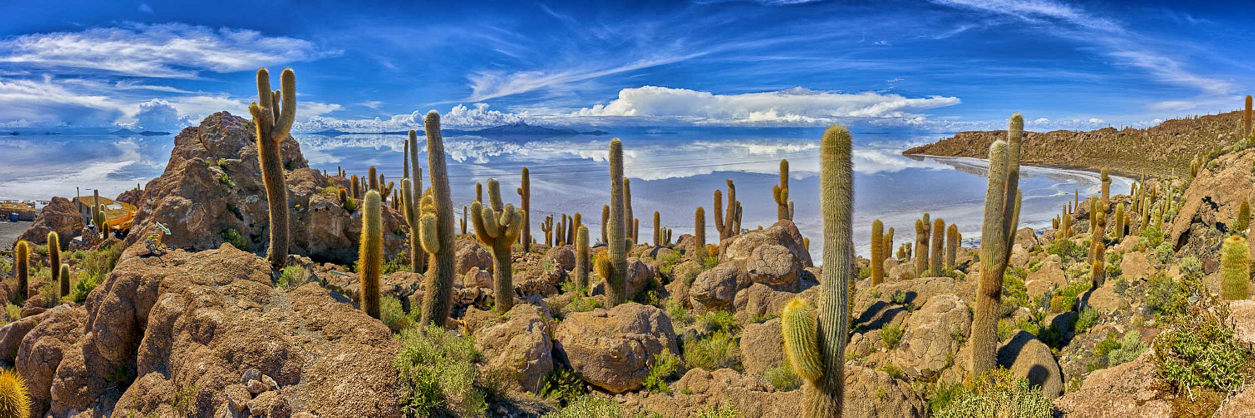 Cactus Island, Bolivia