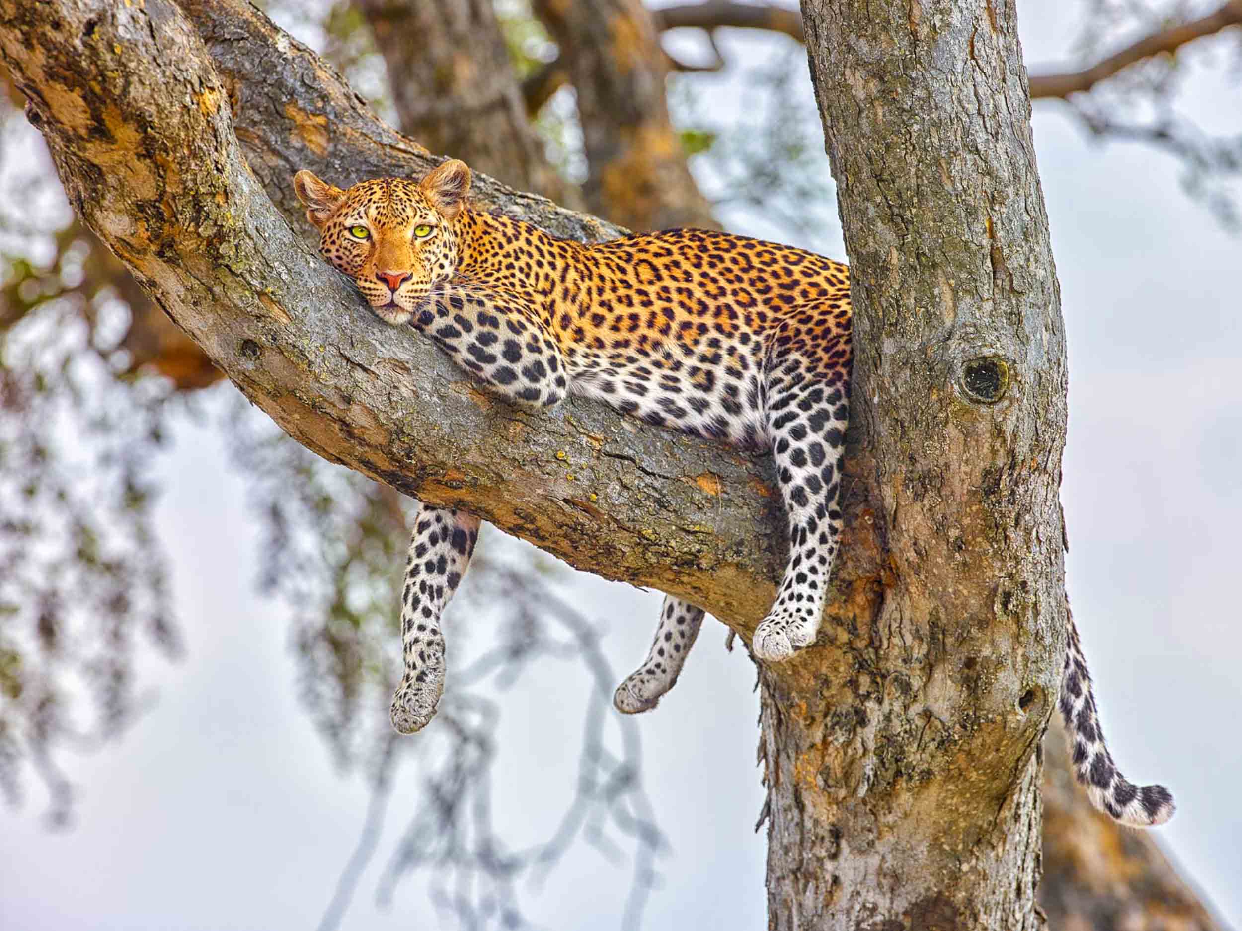 Lookout, Botswana