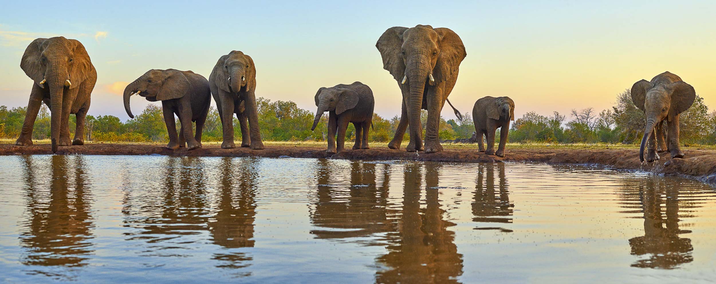 The Waterhole, Africa