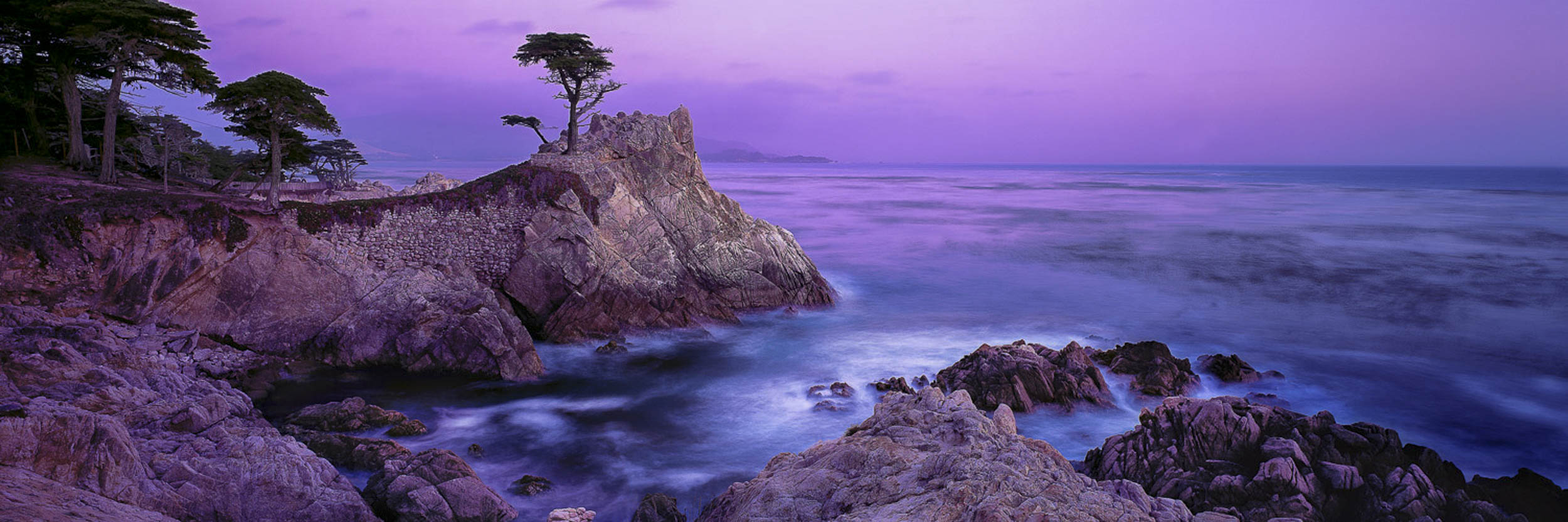 The Lone Cypress, Carmel, USA