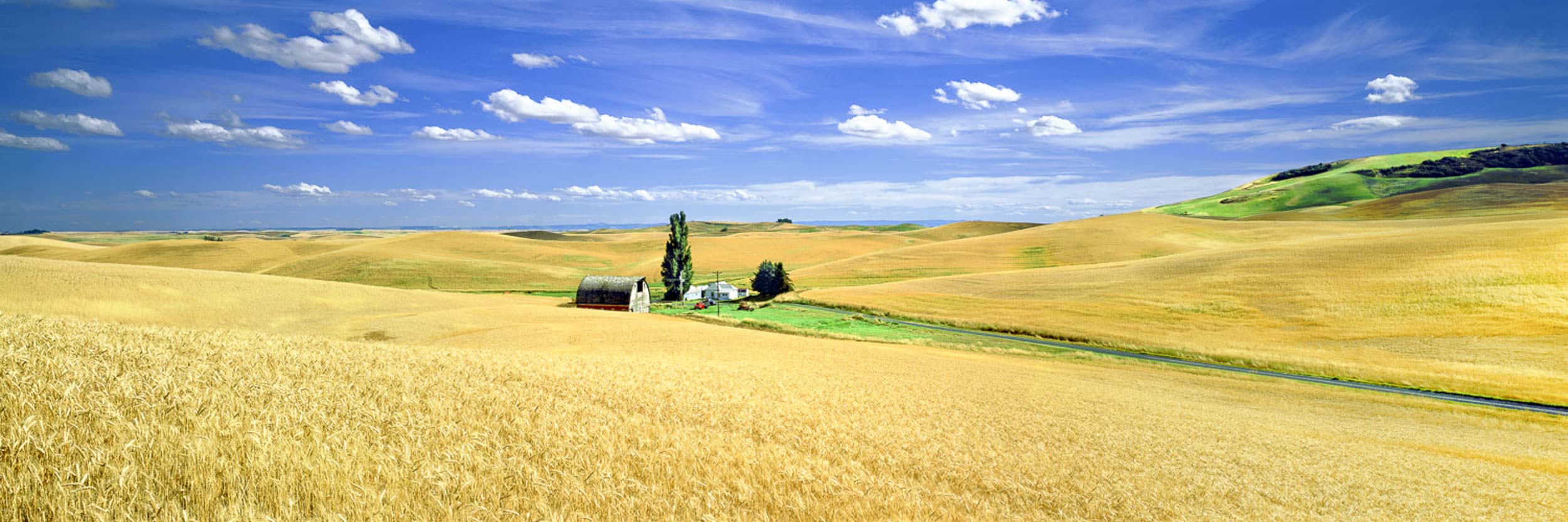 Harvest Time, Idaho