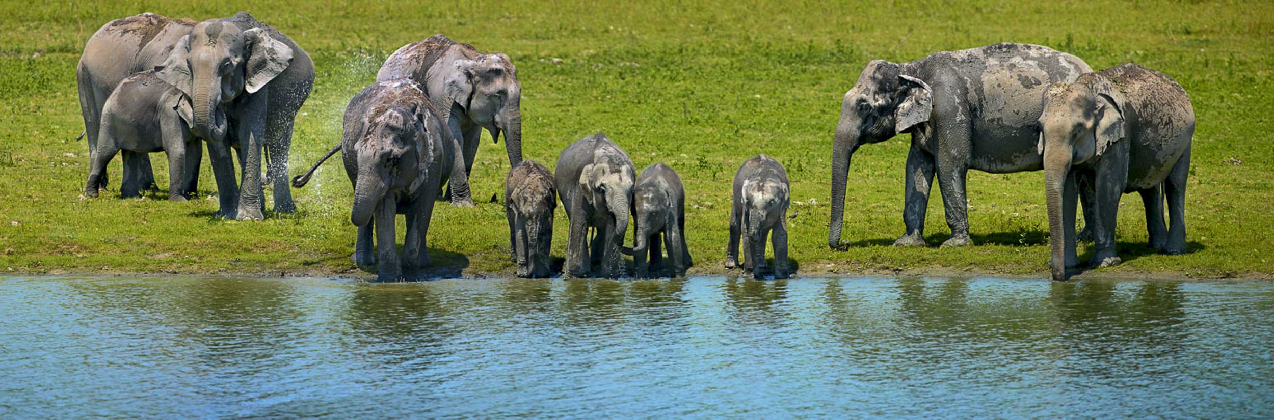 Power of Unity, India