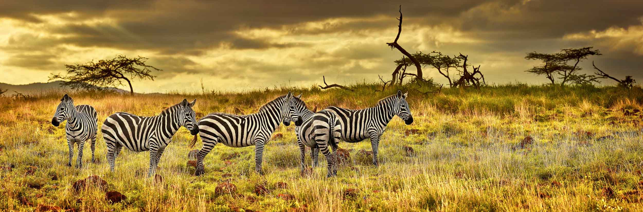 Zeal for Life, Kenya