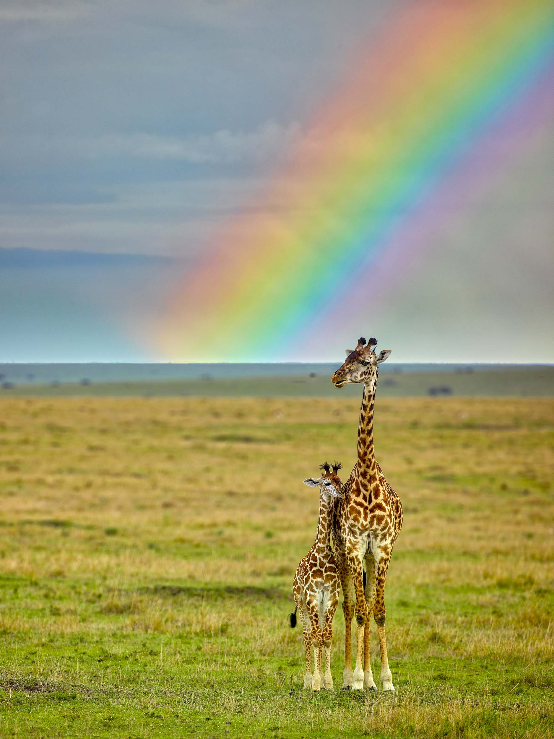 What A Beautiful World