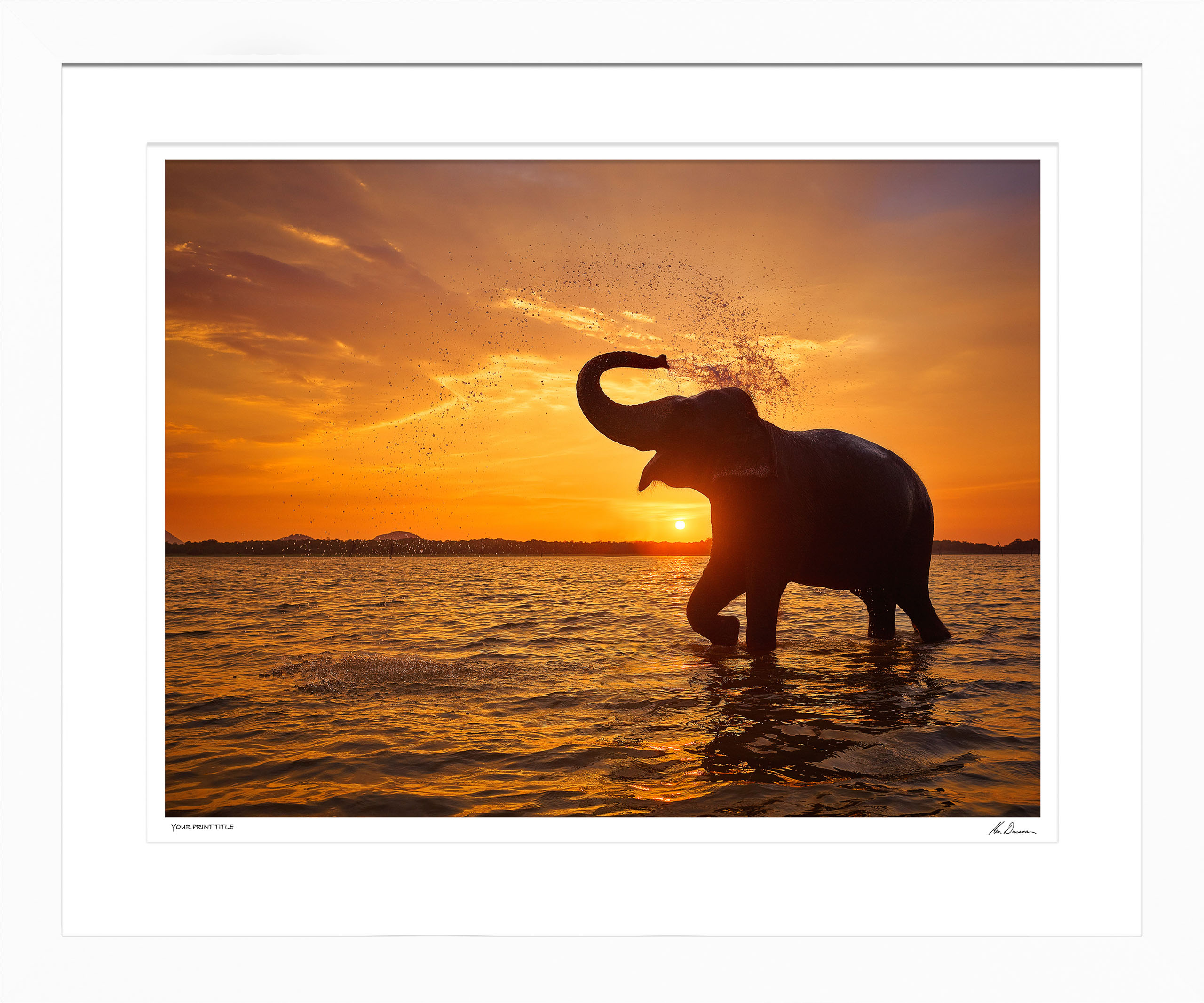 Happy Day. Large Framed Print registration number 16/100