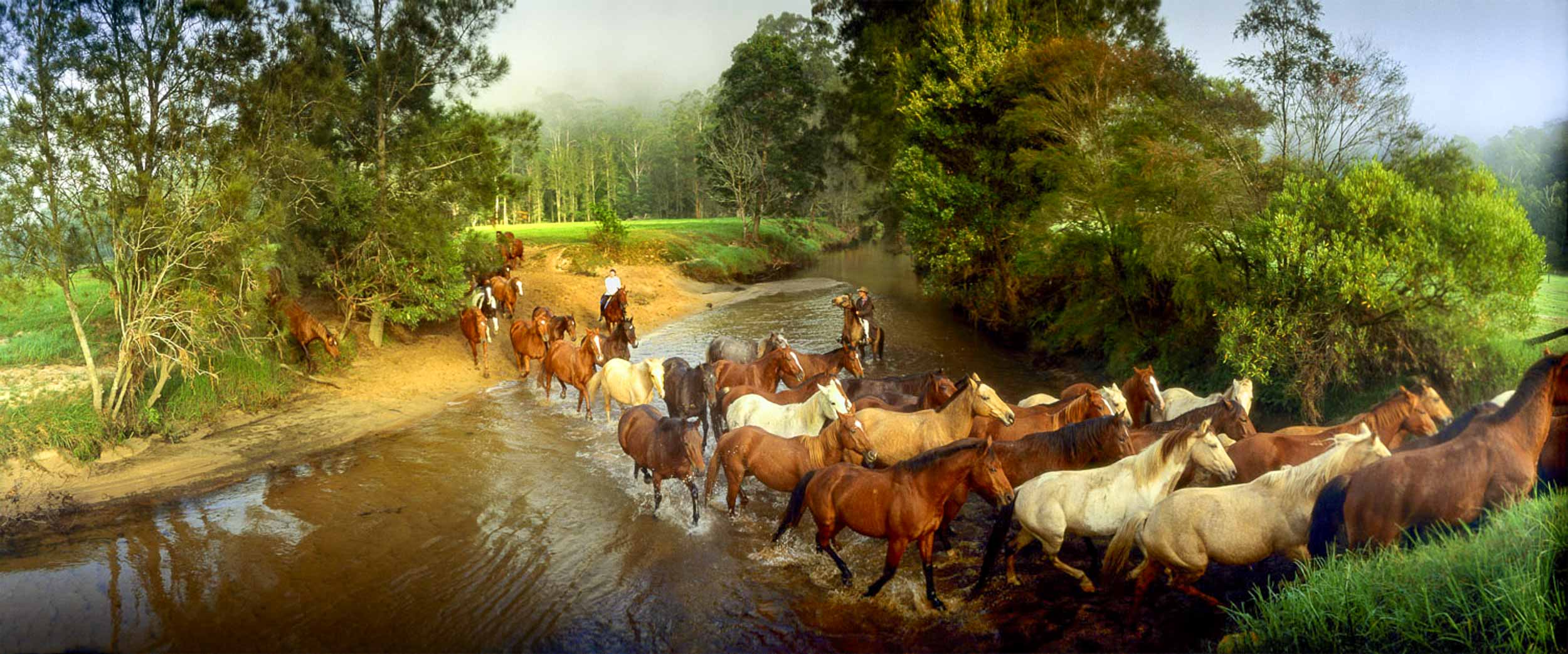 Round Up, Glenworth Valley, NSW