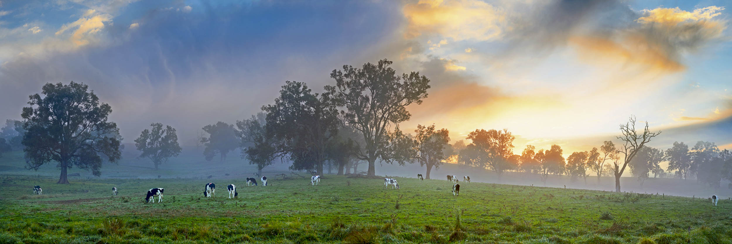 Break of Day, Bega, NSW