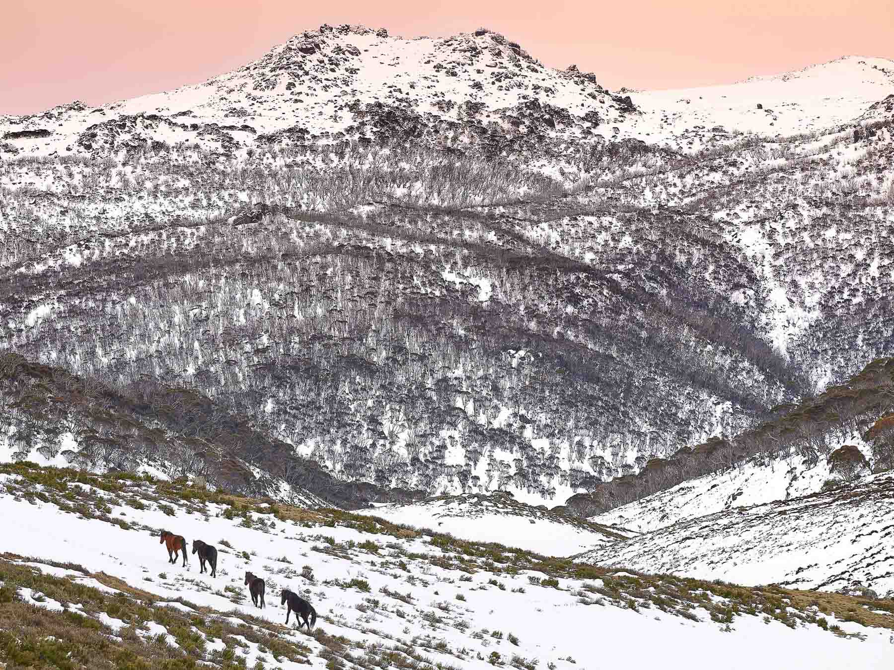 Cascade Valley, Kosciuszko, NSW