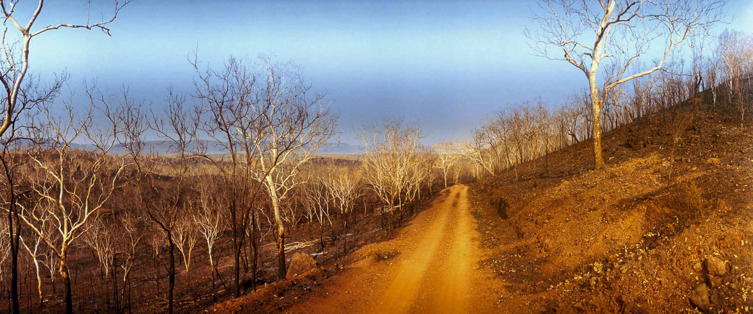 Day After, Kakadu, NT
