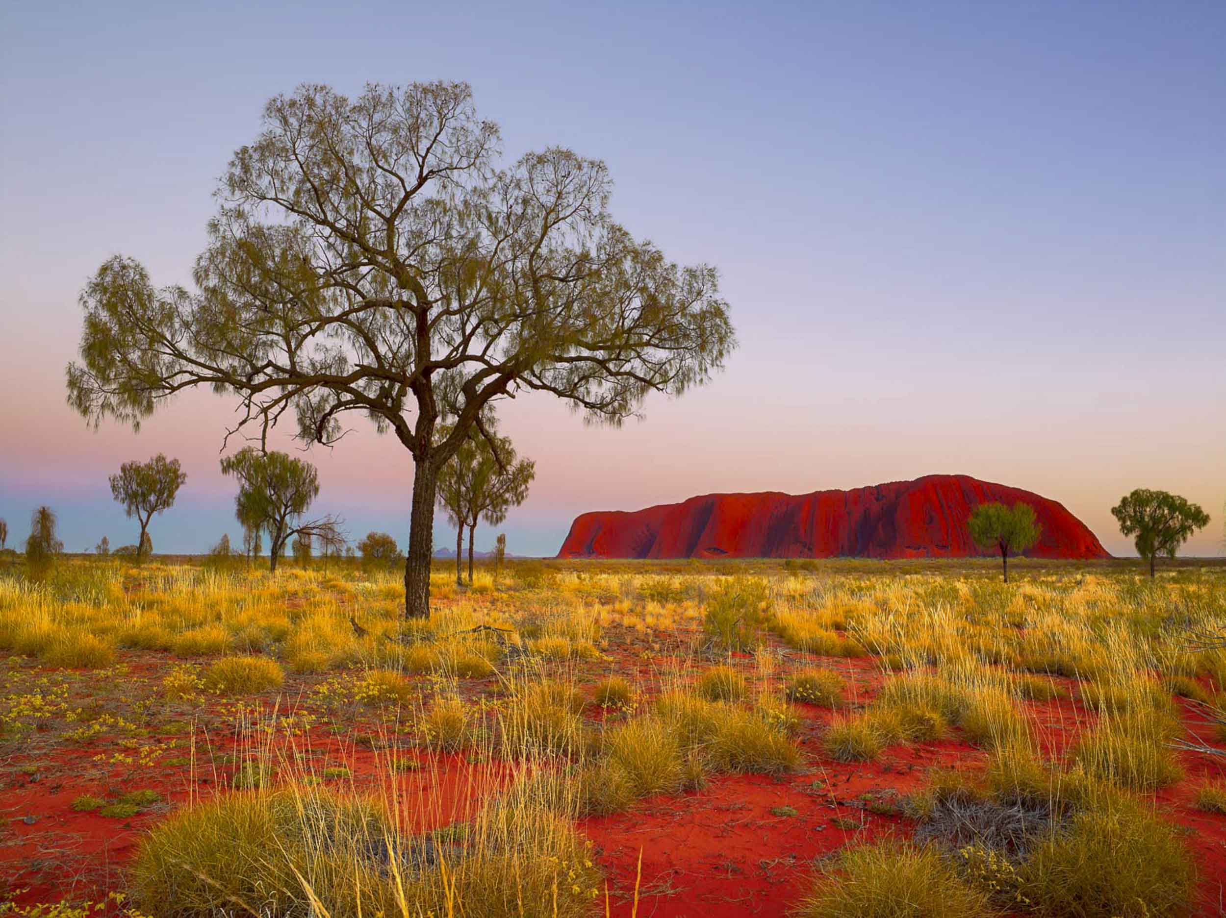 Red Centre Dreaming, NT
