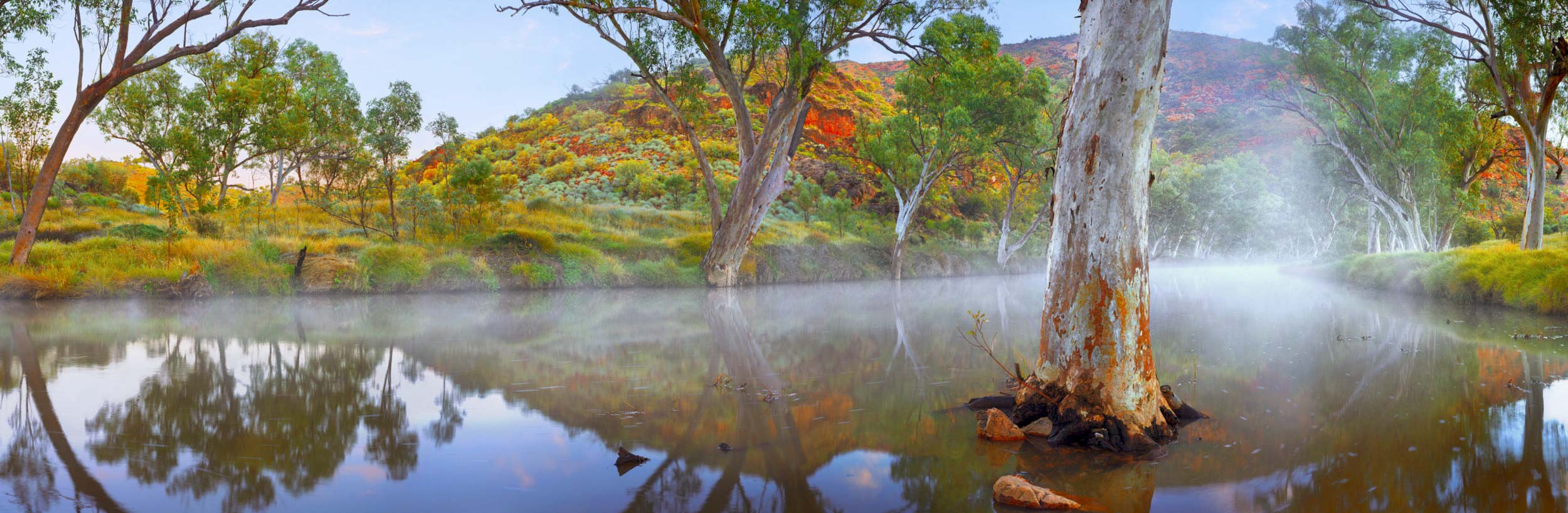 Morning Mist, Ellery Creek, NT