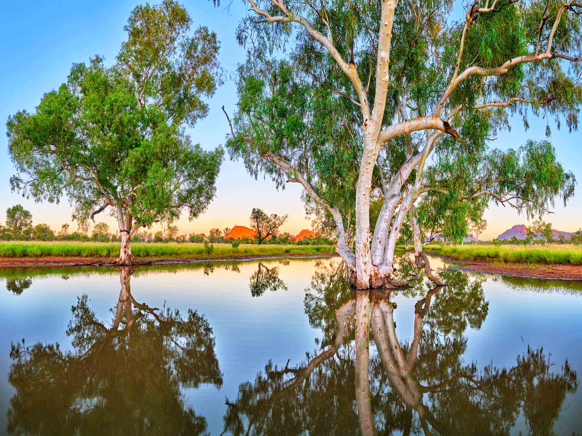 Atji Creek, Reflections