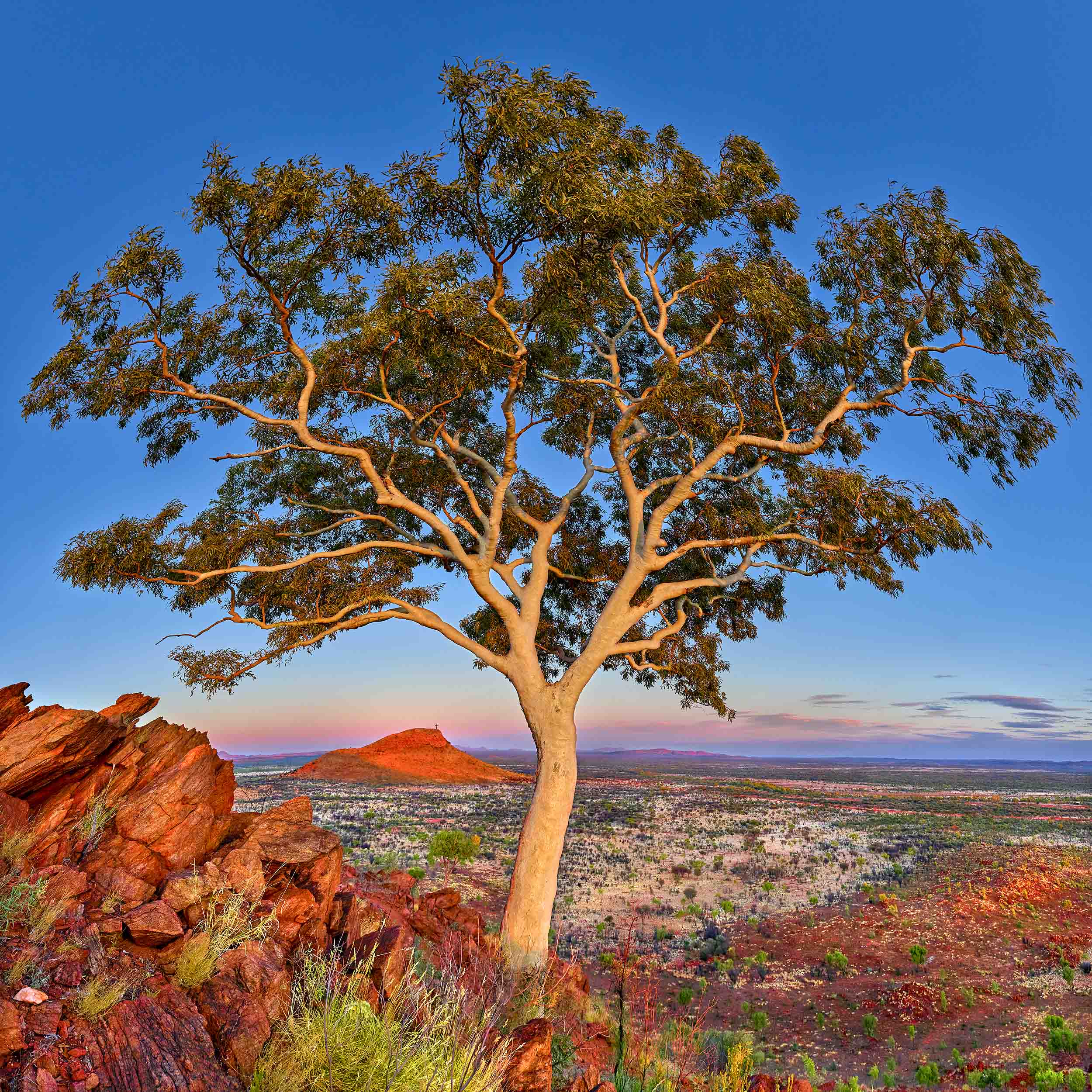 Between Heaven and Earth