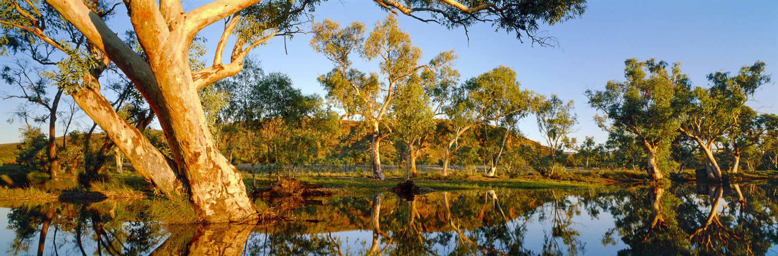 Spring Showers, Jay Creek, NT