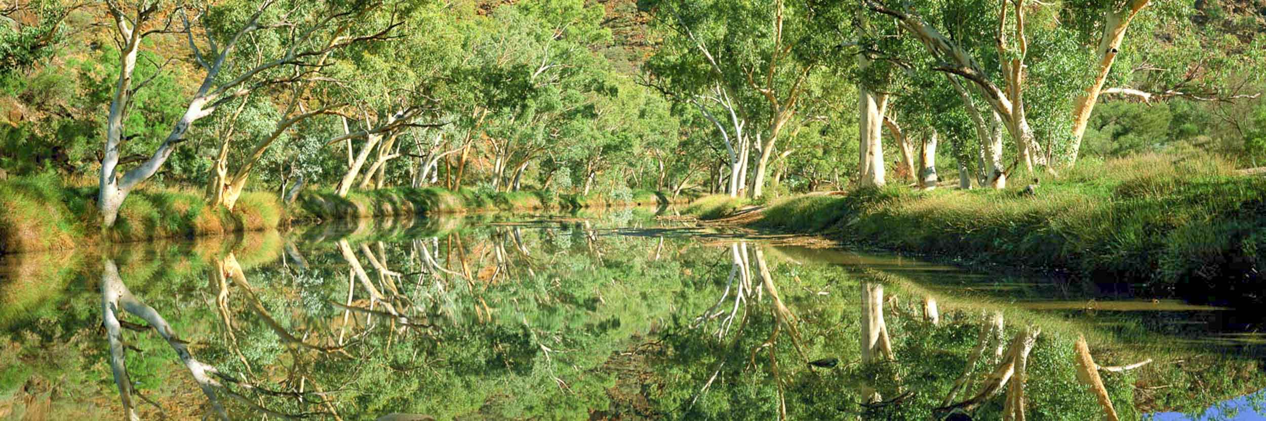 River of Life, Ellery Creek, NT
