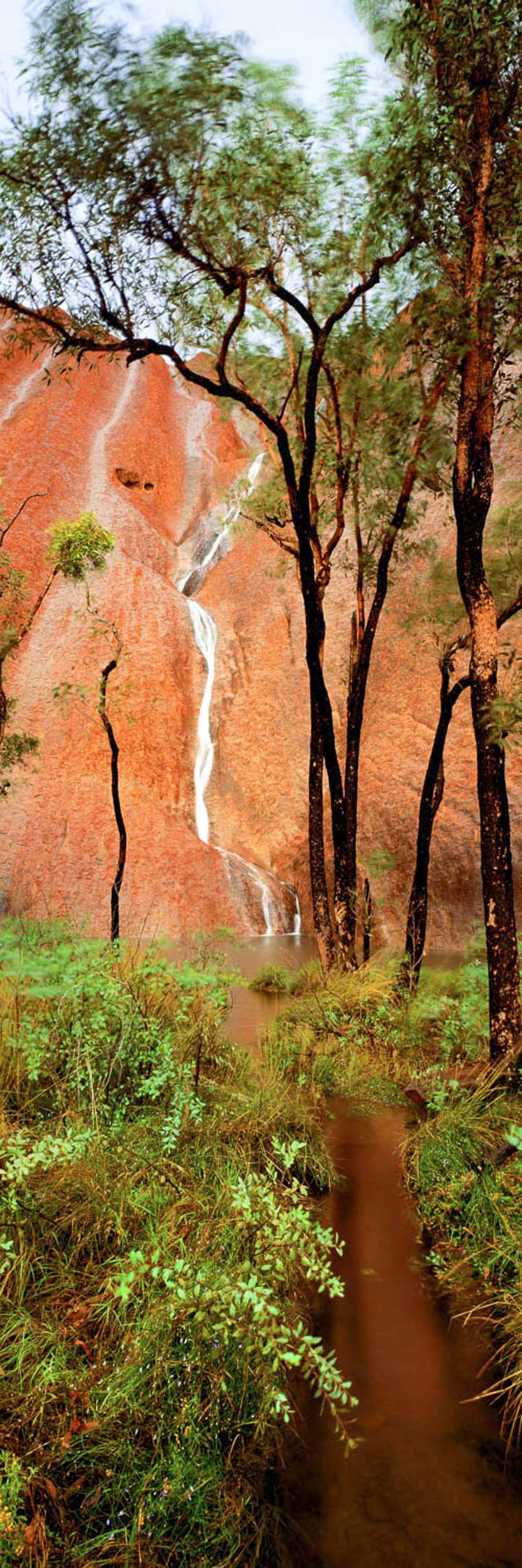 Desert Streams, Uluru, NT