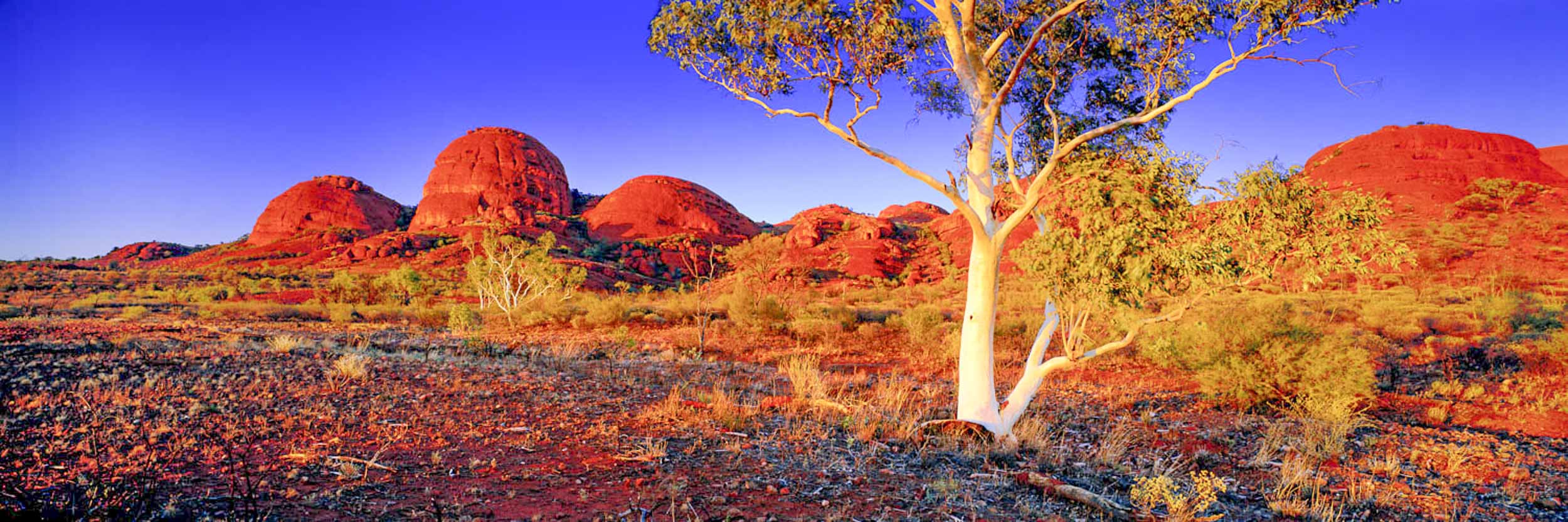 Sunrise Kata Tjuta, NT
