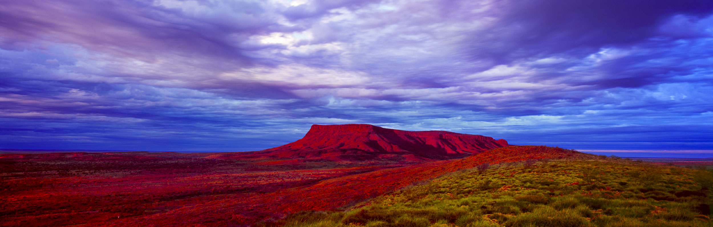 Kintore Awakening, NT