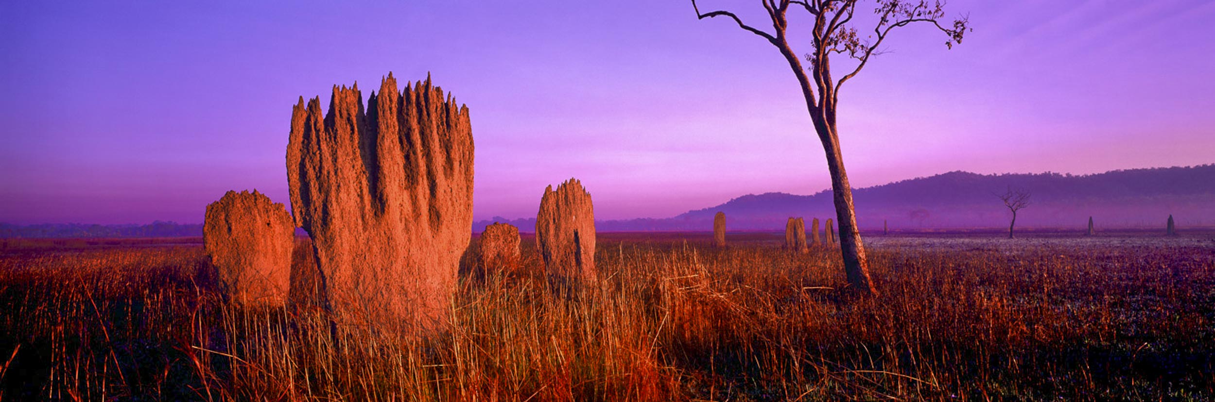 Magnetic Wonders, NT