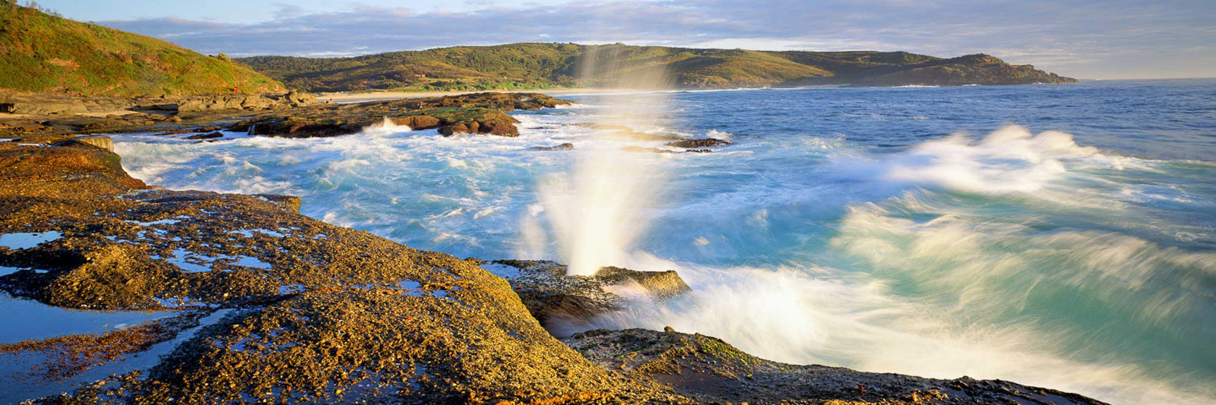 Little Bumpy, Fraser Park, NSW