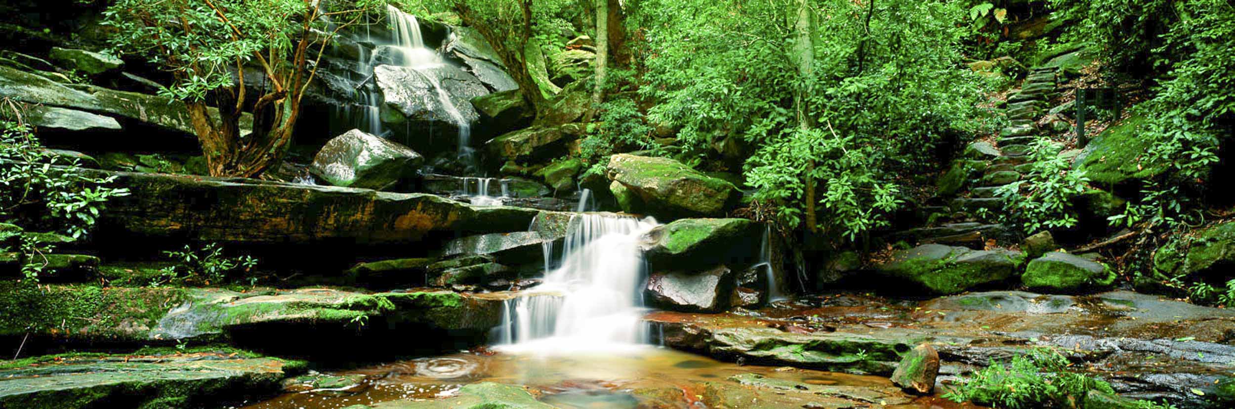 Tranquillity, Somersby Falls, Australia