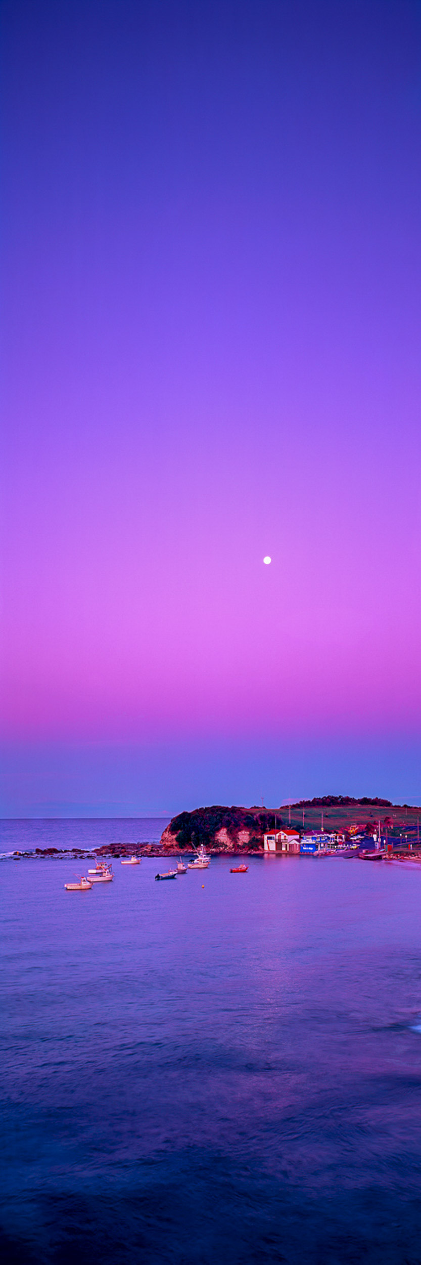 Safe Haven, Terrigal