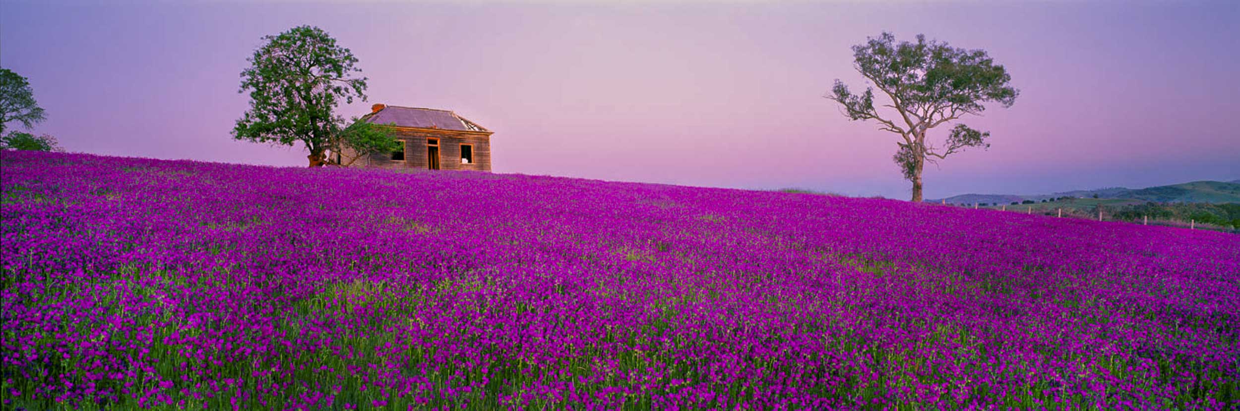 On The Road To Gundagai, NSW