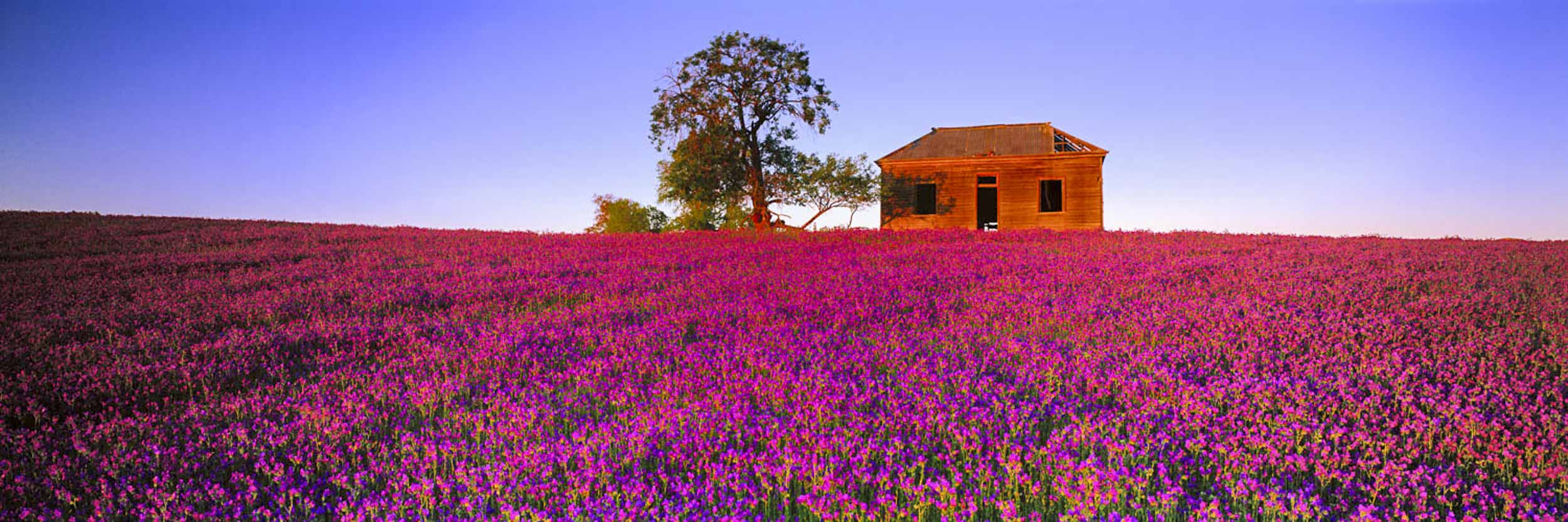 Snowball Farm, Gundagai, NSW