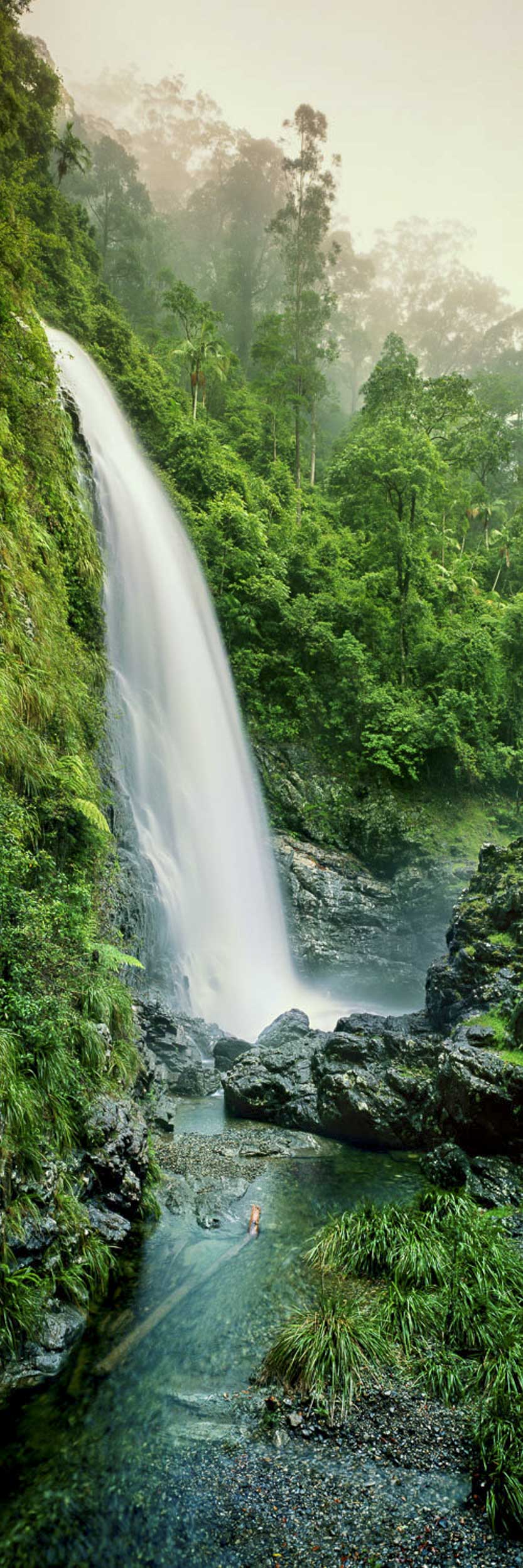 Cedar Falls, Dorrigo Nat. Park, NSW