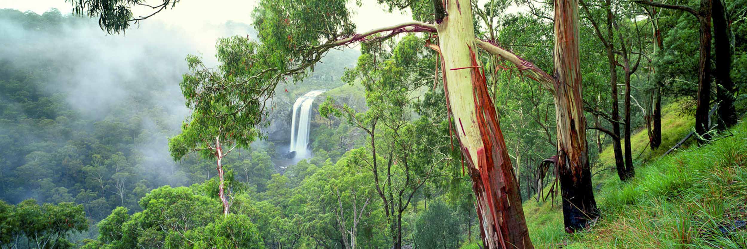 Peace In The Valley, Ebor Falls