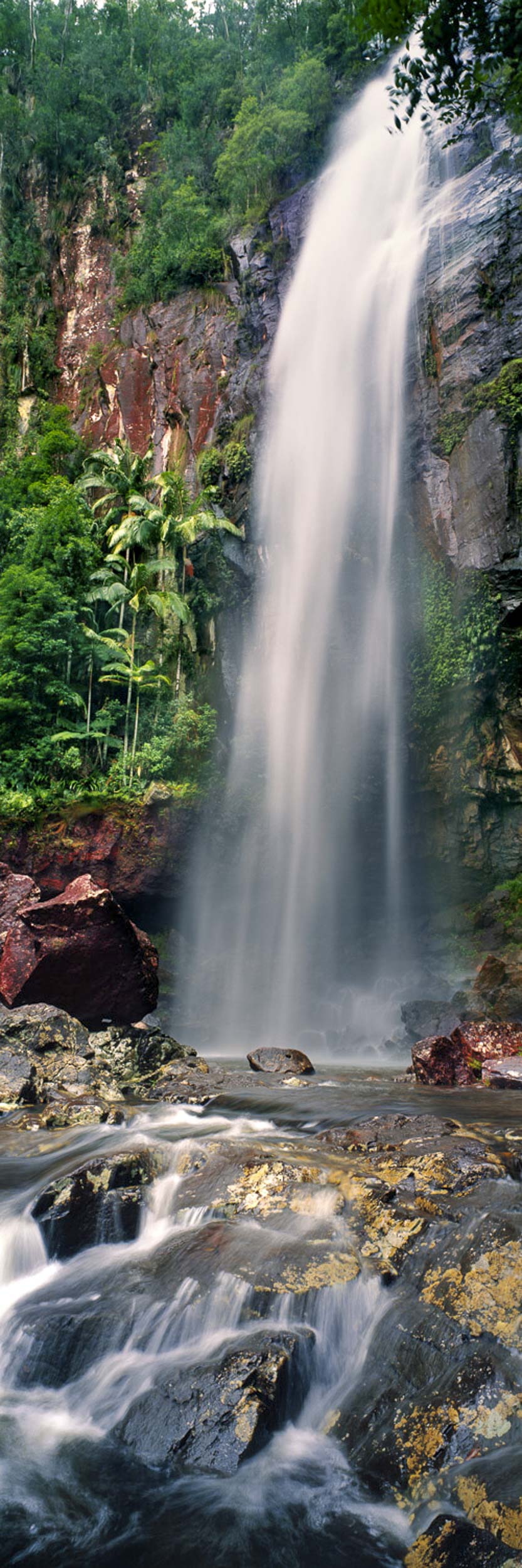 Protestors Falls, Nightcap N.P.