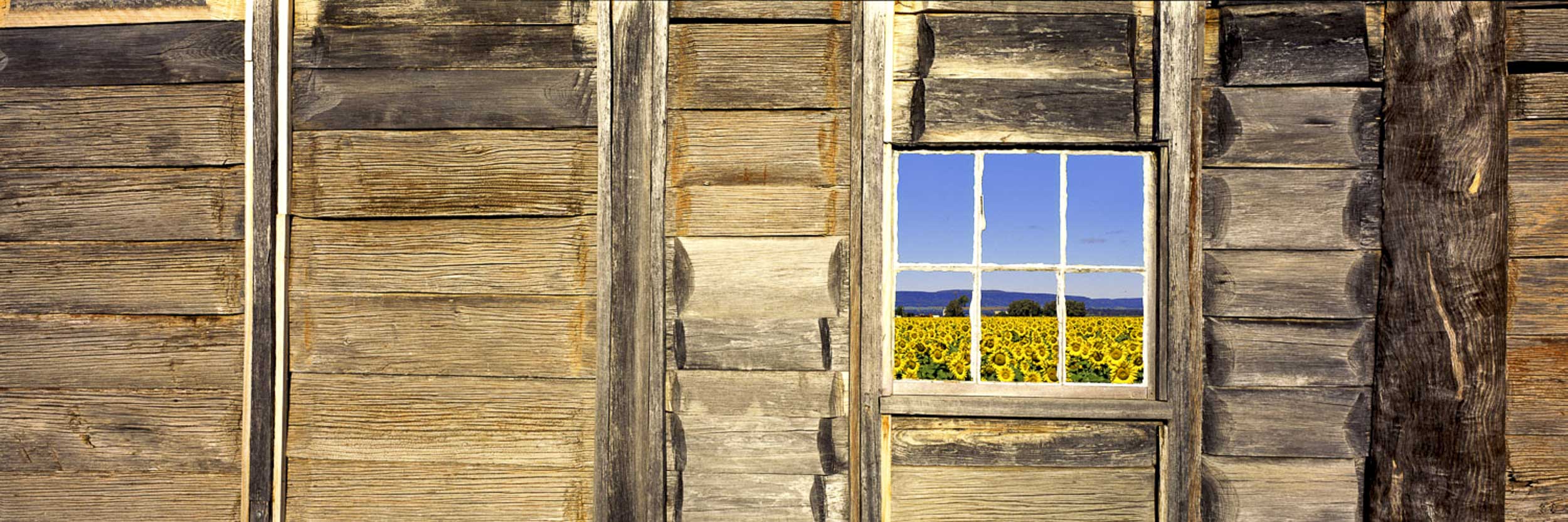 Room With a View, NSW