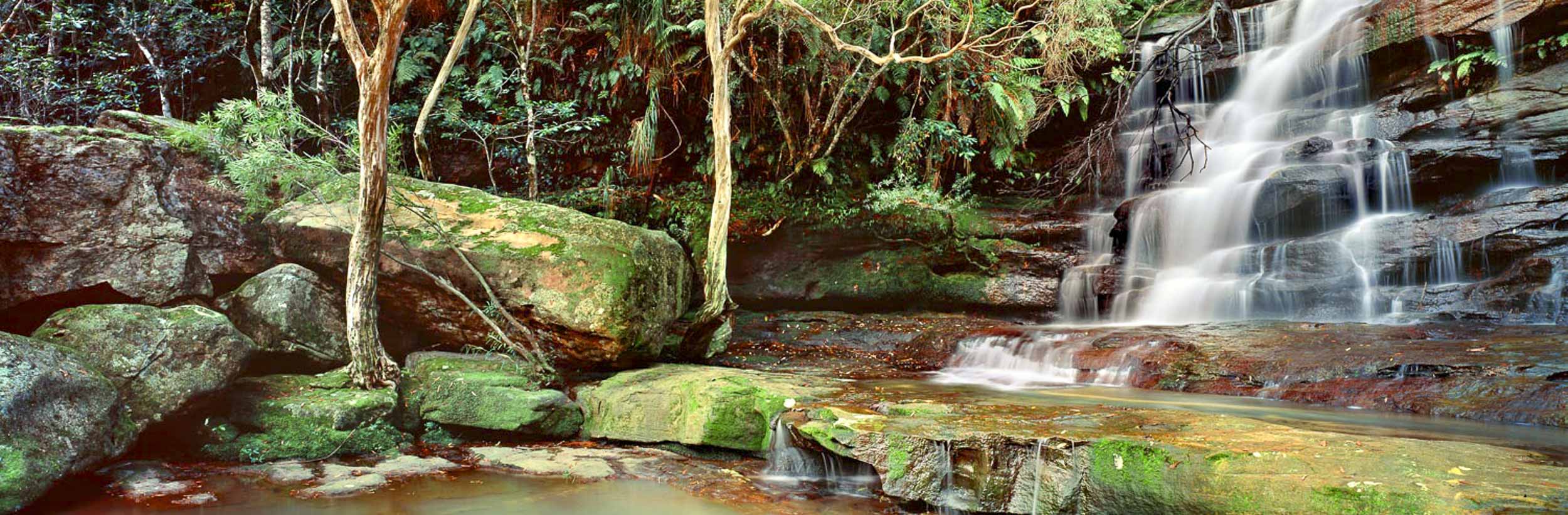 Somersby Sanctuary, NSW