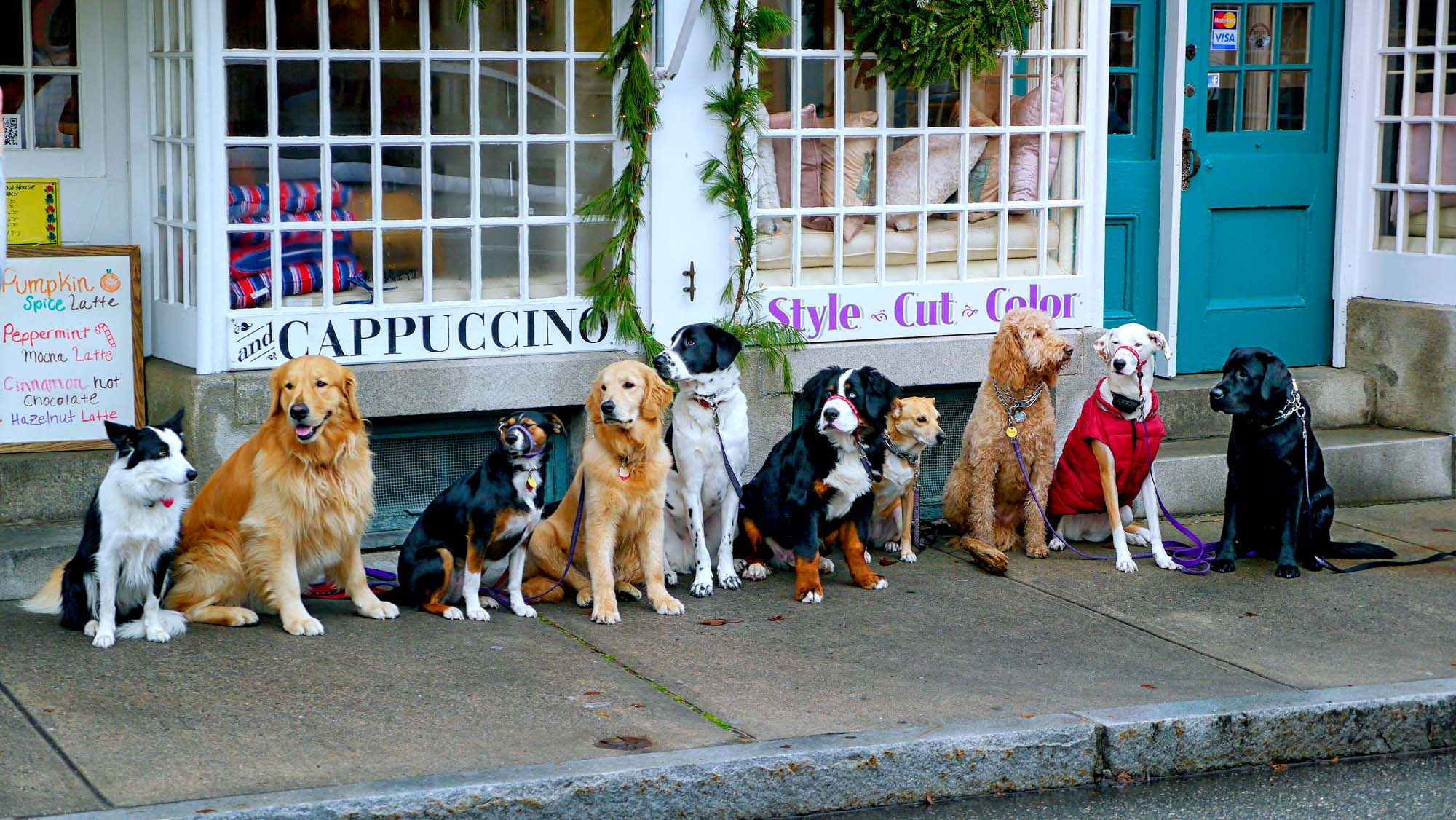 The Coffee Queue - A Ray Martin Print