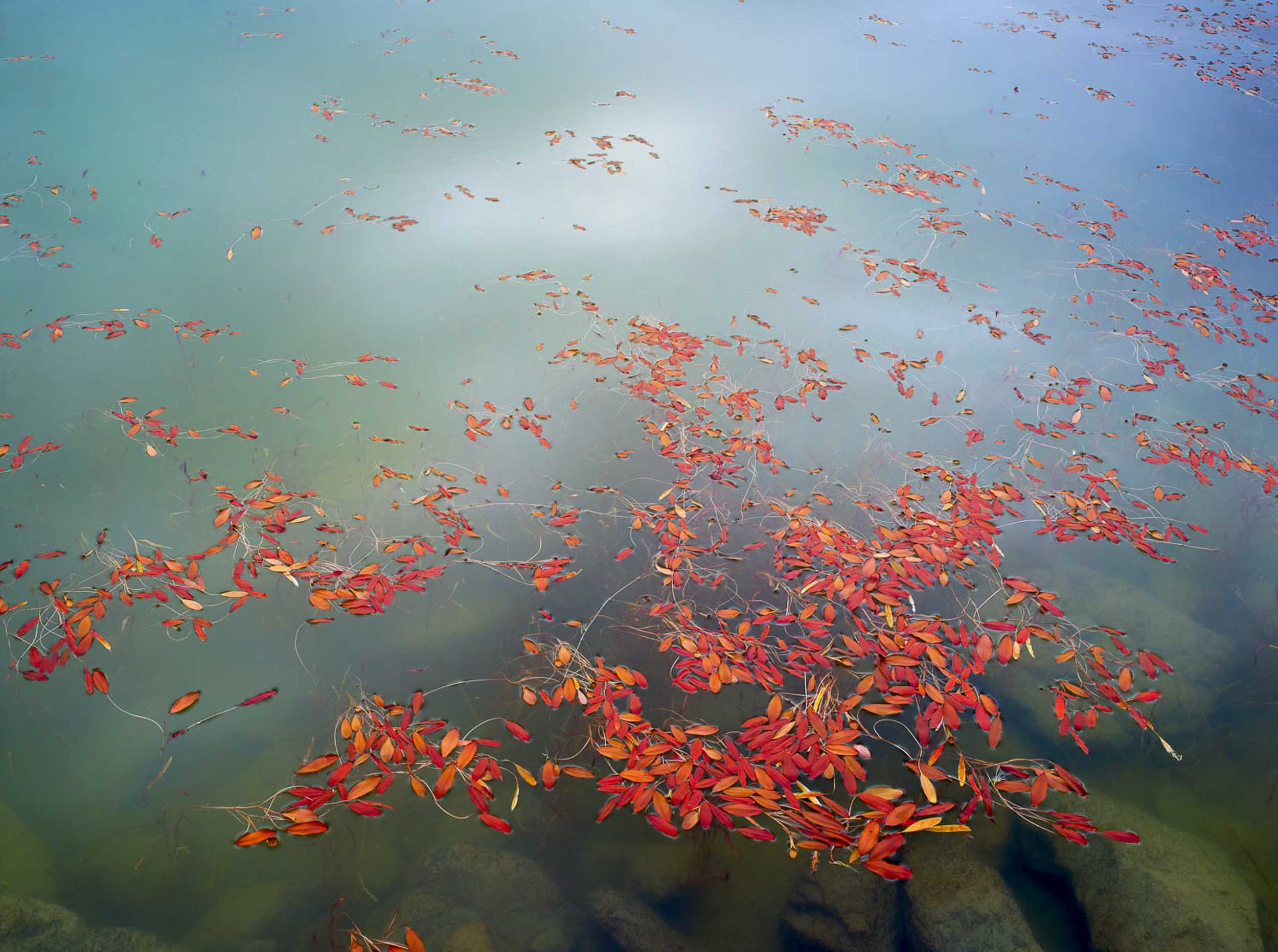 Manihi, Blue Lake, NZ