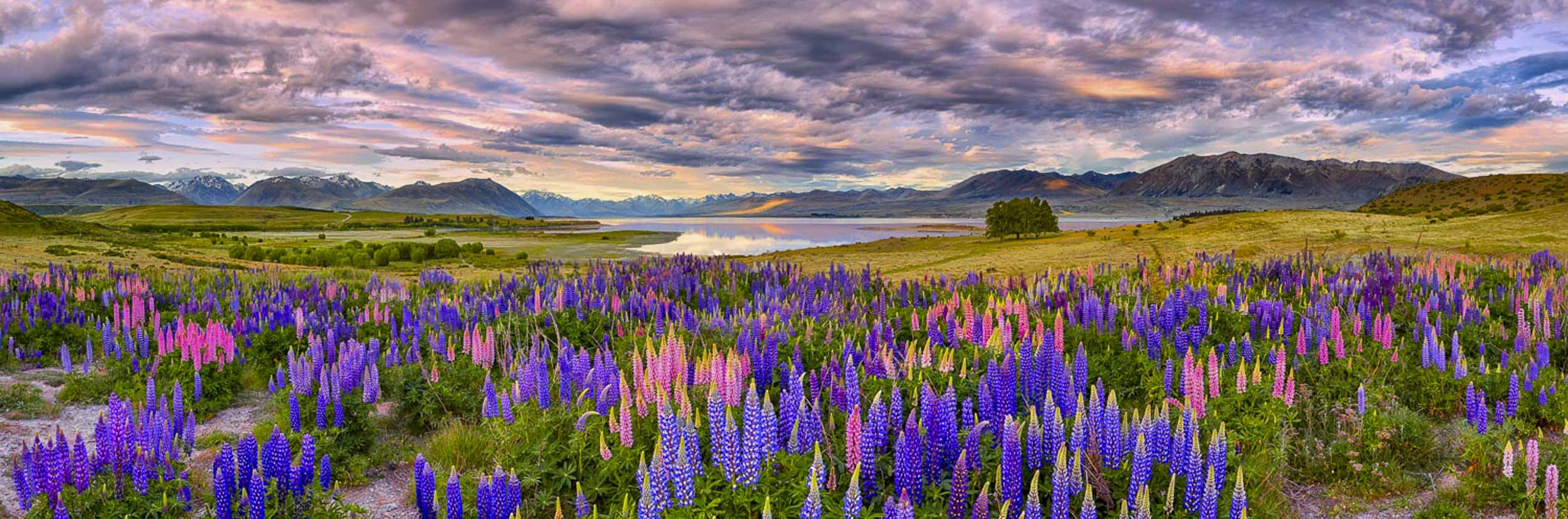 Dancing Light, Lake Tekapo