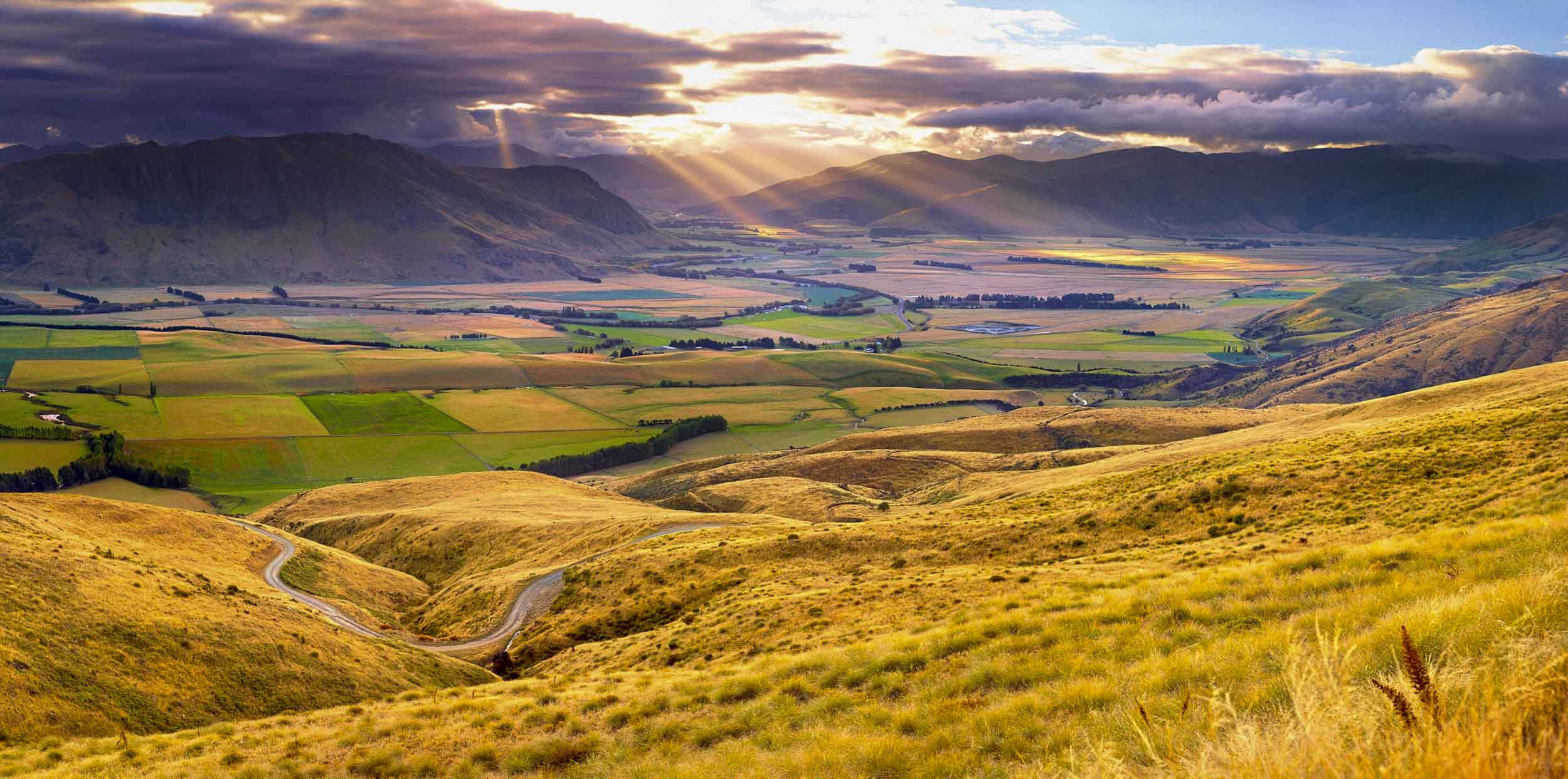 Breaking Through, NZ