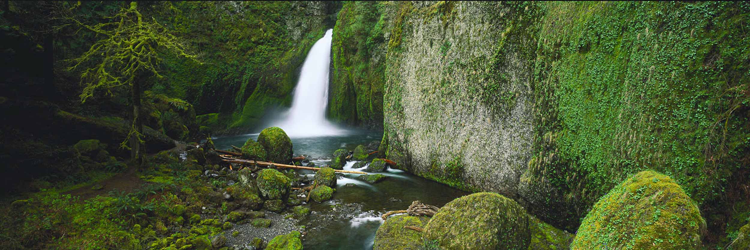Wahclella Falls, Oregon