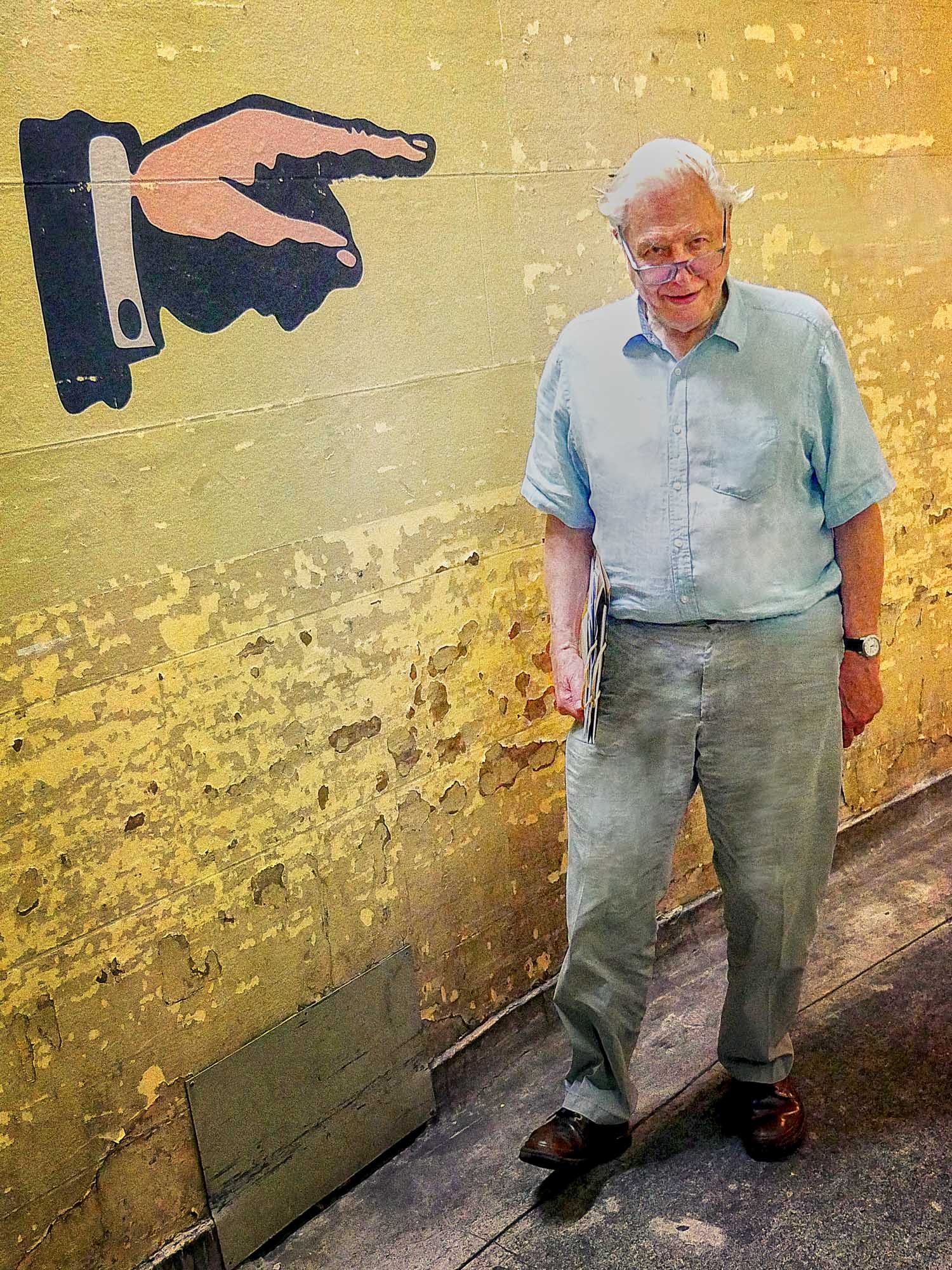 He's the Man Attenborough - A Ray Martin Print