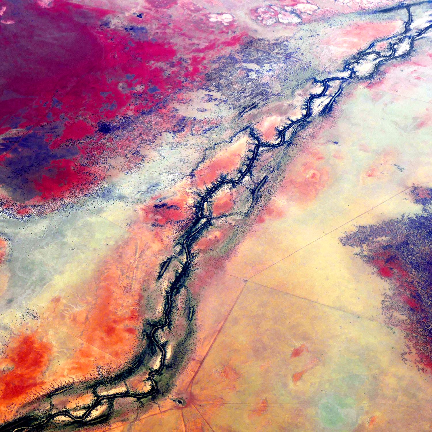 Outback Artery - A Ray Martin Print