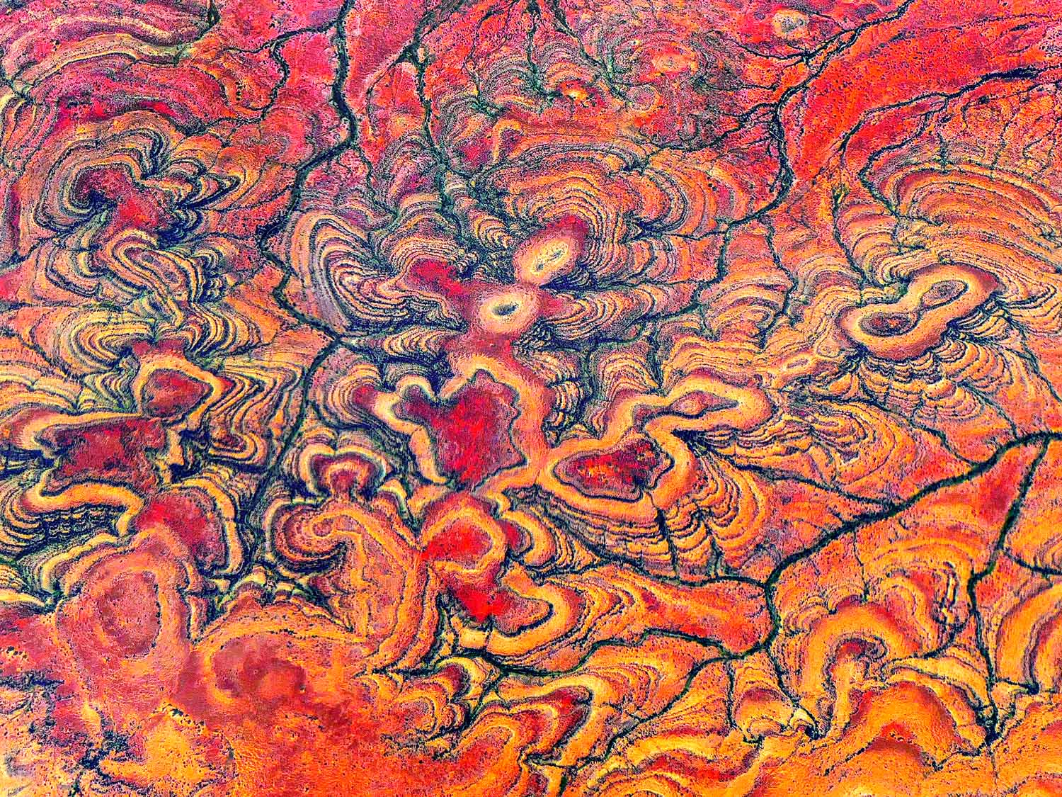 Running Man Rock - A Ray Martin Print