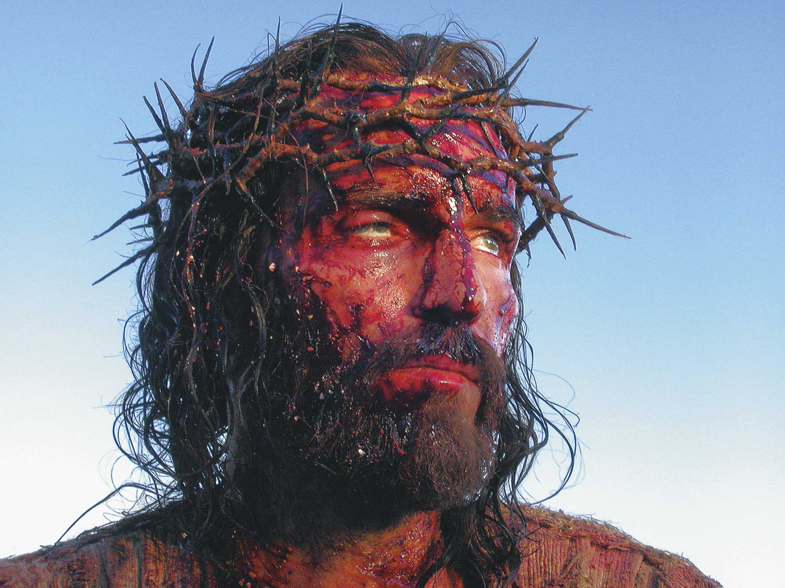 Wounded For Our Transsgressions, The Passsion