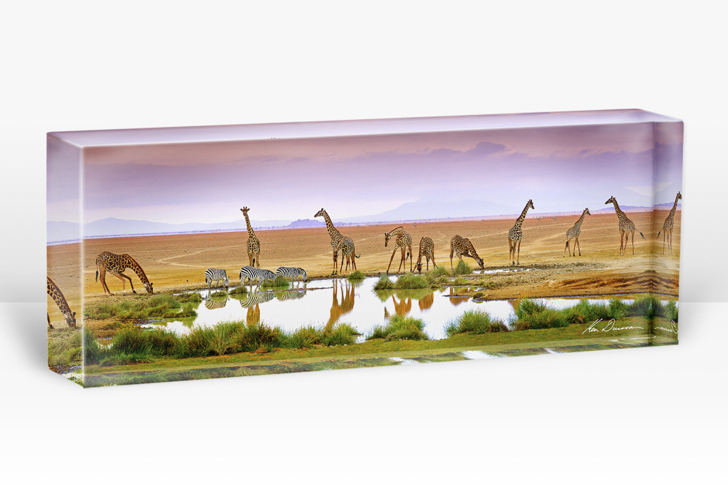 PB - Fountain Of Life