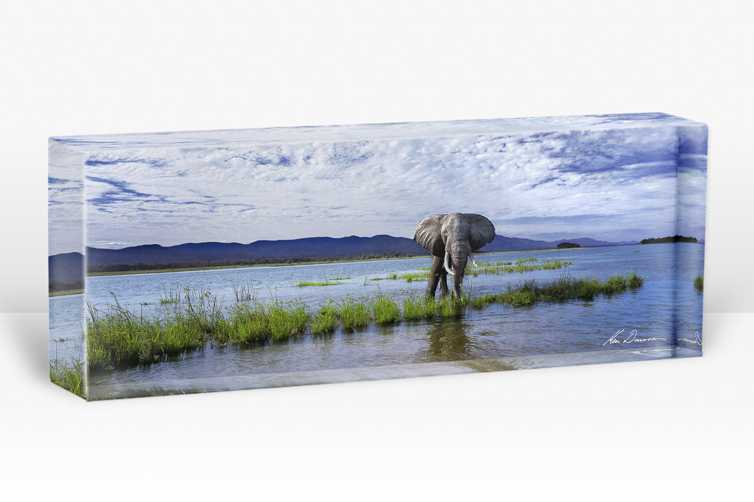 PB - The Power Of One