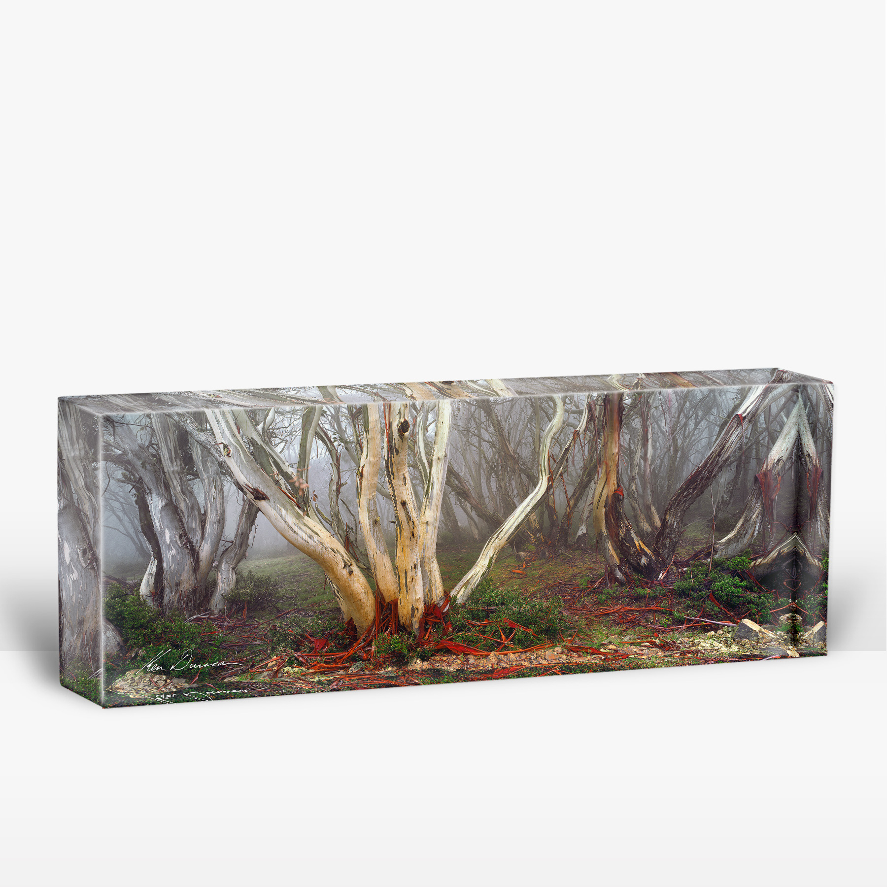 PB - Snowy River Country