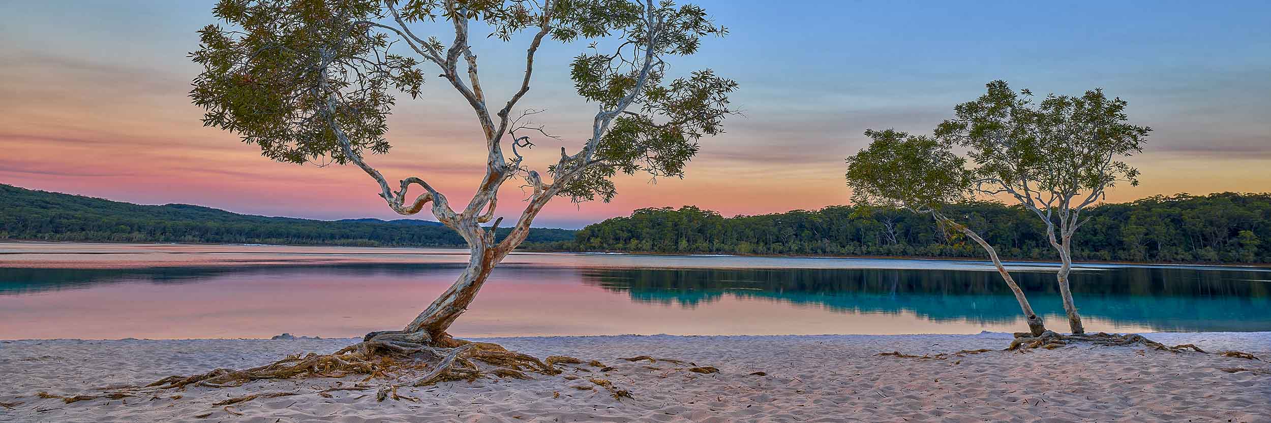 Boorangoora Dreaming