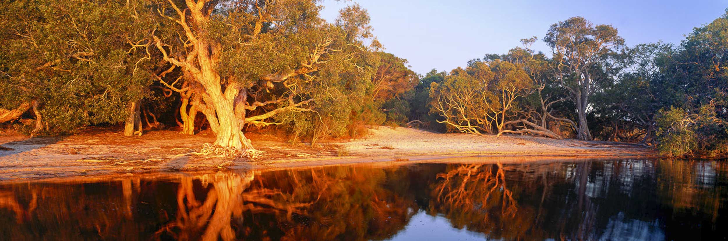 Reflections, Lake Boomanjin, QLD