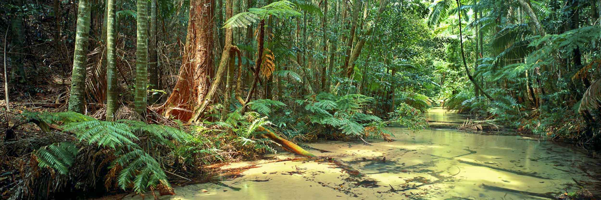 Wanggoolba Creek, Fraser Island, QLD